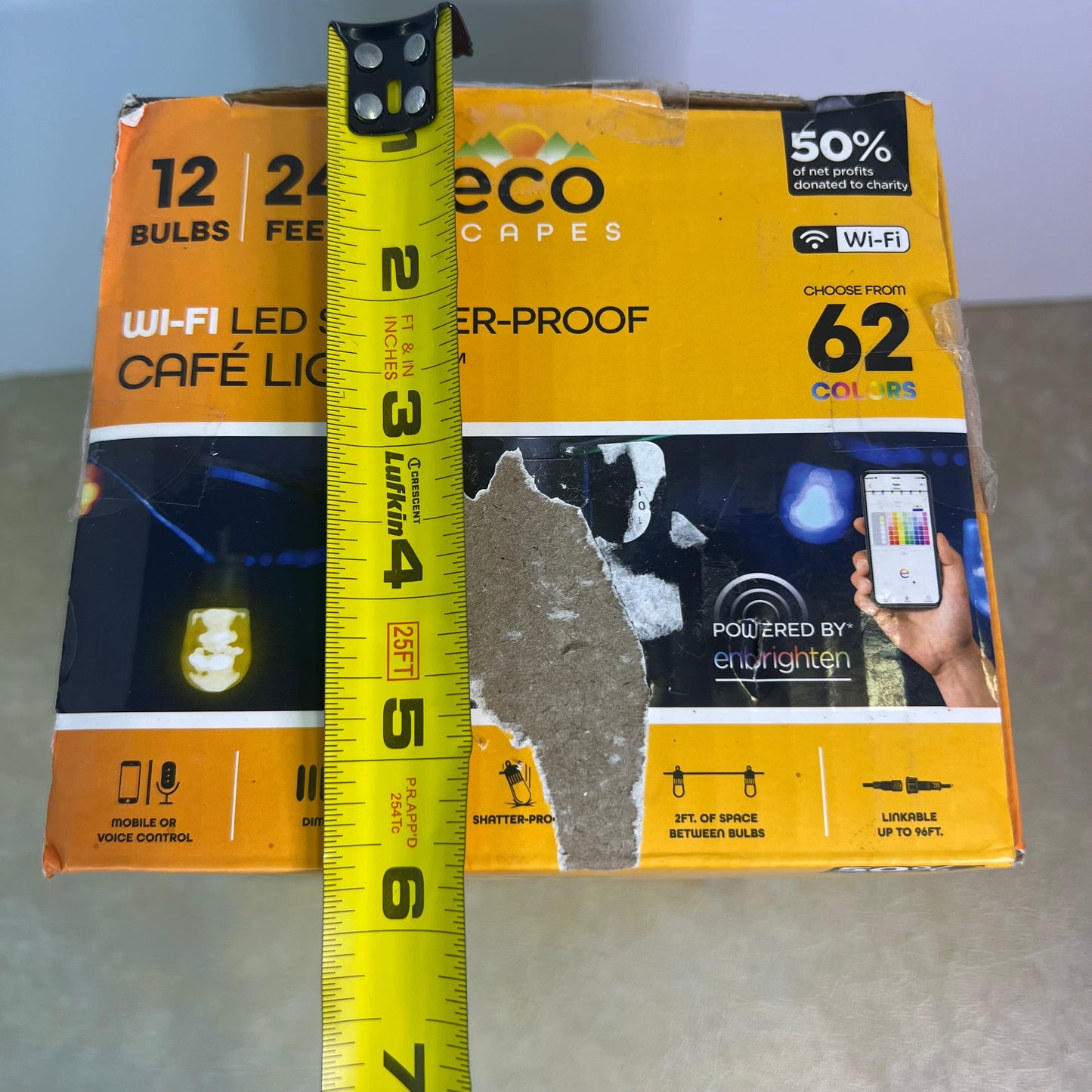 Eco Scapes Wi-Fi LED Shatterproof Cafe Lights 12 Bulbs 24 Feet 62 Colors