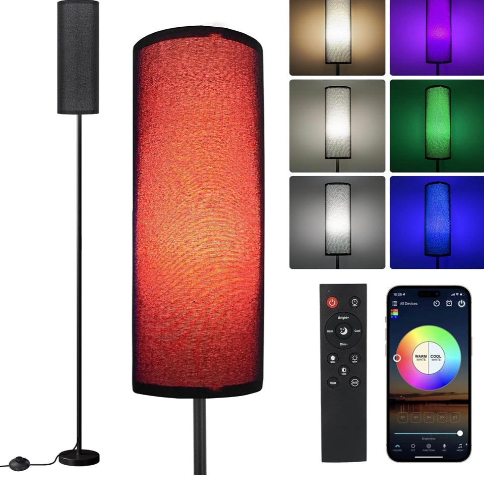Frideko Black Floor Lamps for Bedroom, Dimmable Colors Temperature & Brightness