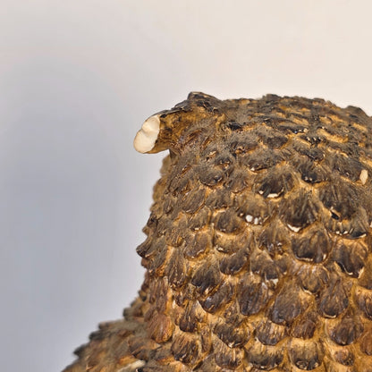 Great Horned Owl Figurine Wood Look American Wildlife Collection 5.5" Handcrafted Polyresin Sculpture