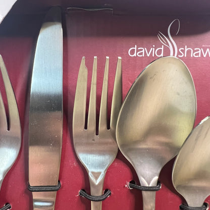 New NIB David Shaw Splendide 20 Piece Stainless Steel Flatware Set Style# 9850504