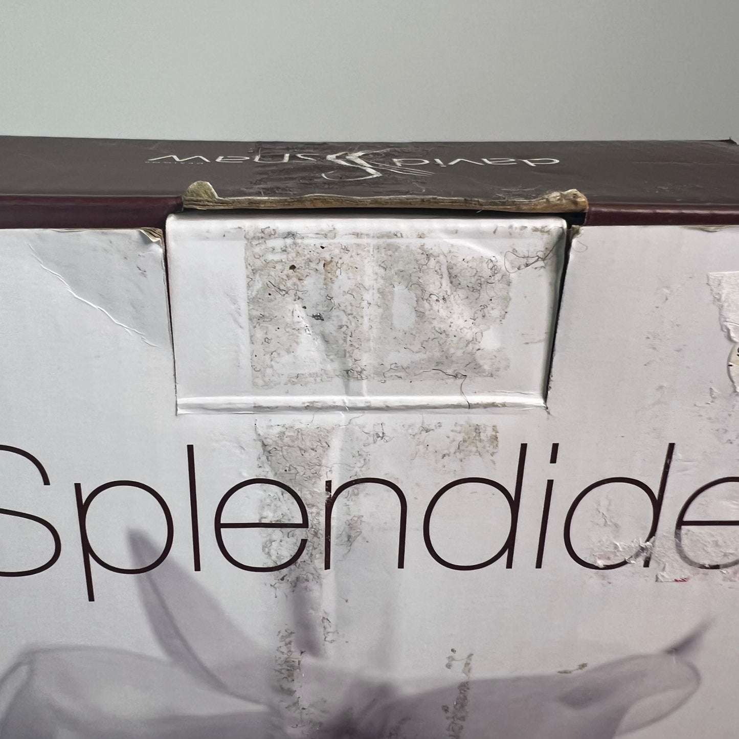 New NIB David Shaw Splendide 20 Piece Stainless Steel Flatware Set Style# 9850504