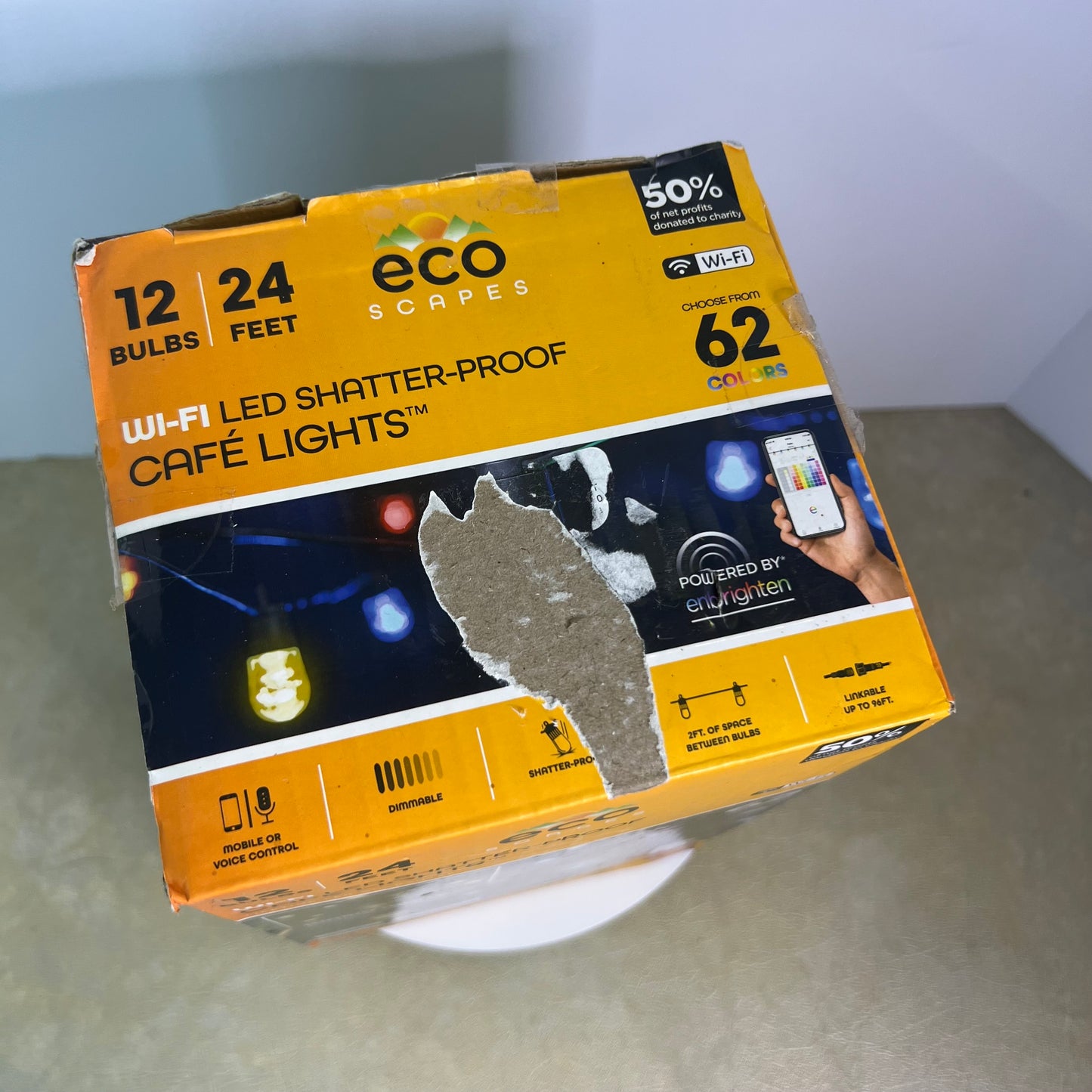 Eco Scapes Wi-Fi LED Shatterproof Cafe Lights 12 Bulbs 24 Feet 62 Colors