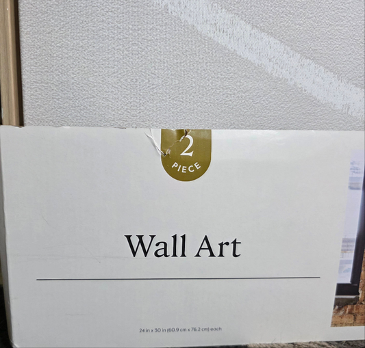 New Set of 2 THRESHOLD Framed Line Drawing Wall Art Canvases 24"x30" Each Neutral