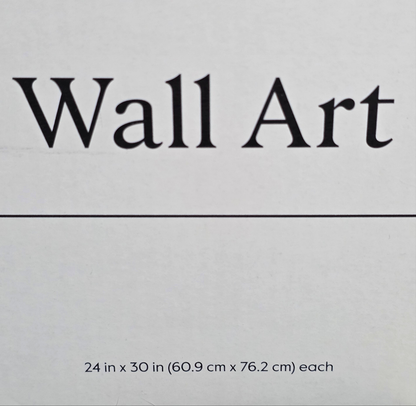 New Set of 2 THRESHOLD Framed Line Drawing Wall Art Canvases 24"x30" Each Neutral