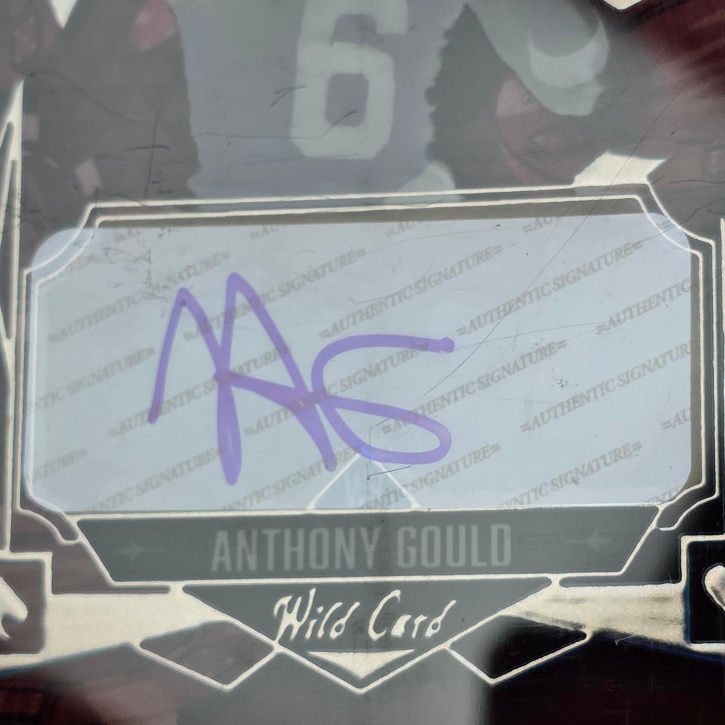 Autographed Anthony Gould Wild Card 5 Card Draw 2/2