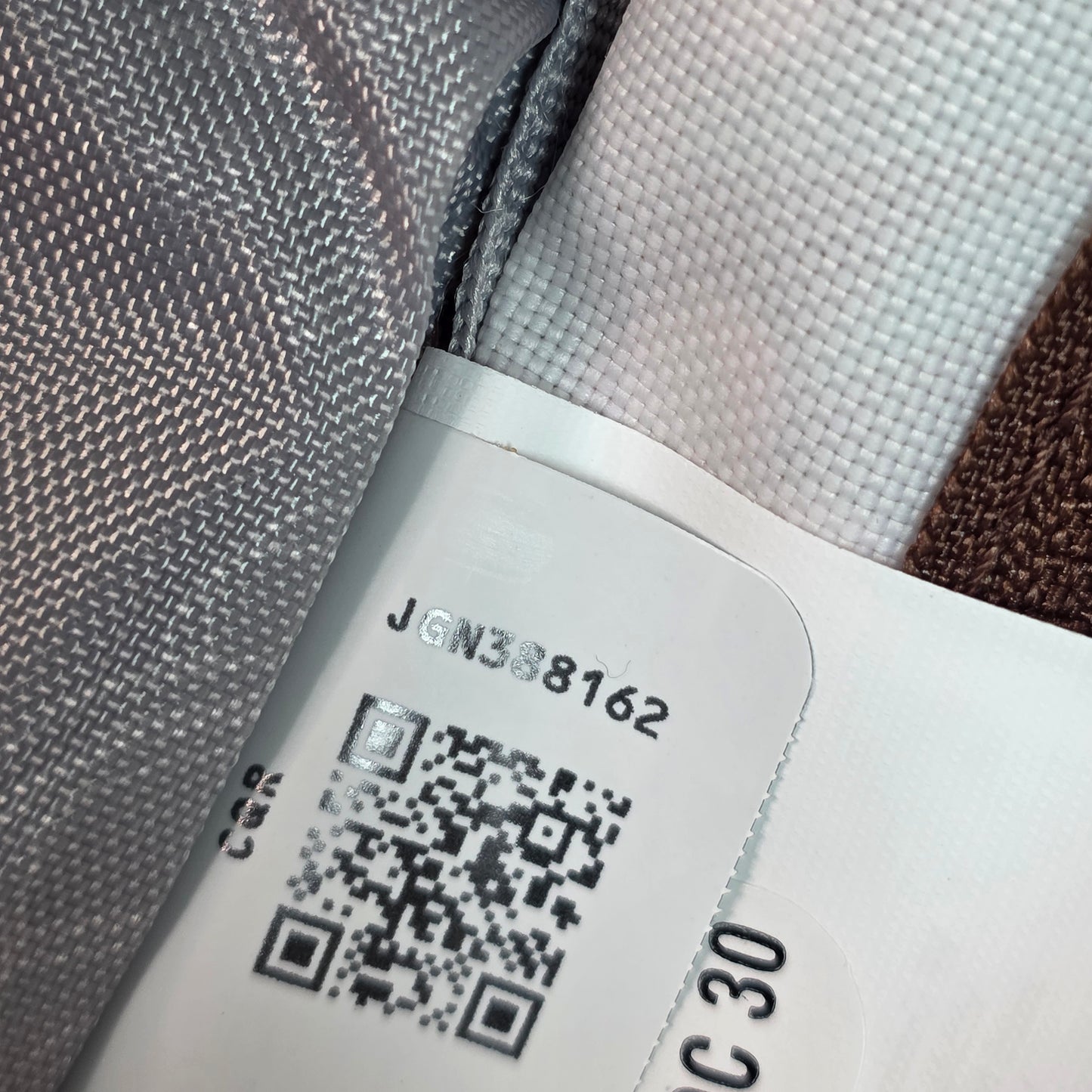 NWT New JANSPORT Painterly Mushrooma Cool Student JS0A2SDDGX1 Backpack