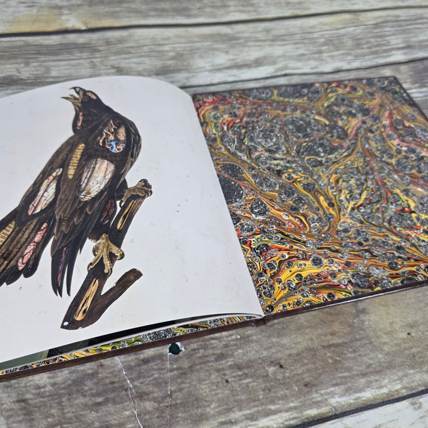 CLUTCh Special Edition 28 Page Art + Lyric Book