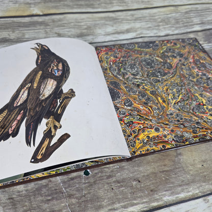 CLUTCh Special Edition 28 Page Art + Lyric Book