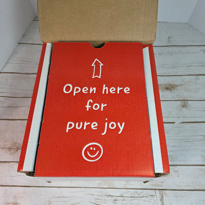 Pomona Organic Apricot Juice, Cold Pressed USDA Organic Juices, 100% Apricots, No Added Sugar, Not From Concentrate, Vegan, Kosher, Non GMO, Pasteurized, 8.4 oz Glass Bottles (Pack of 12)(Packaging May Vary)