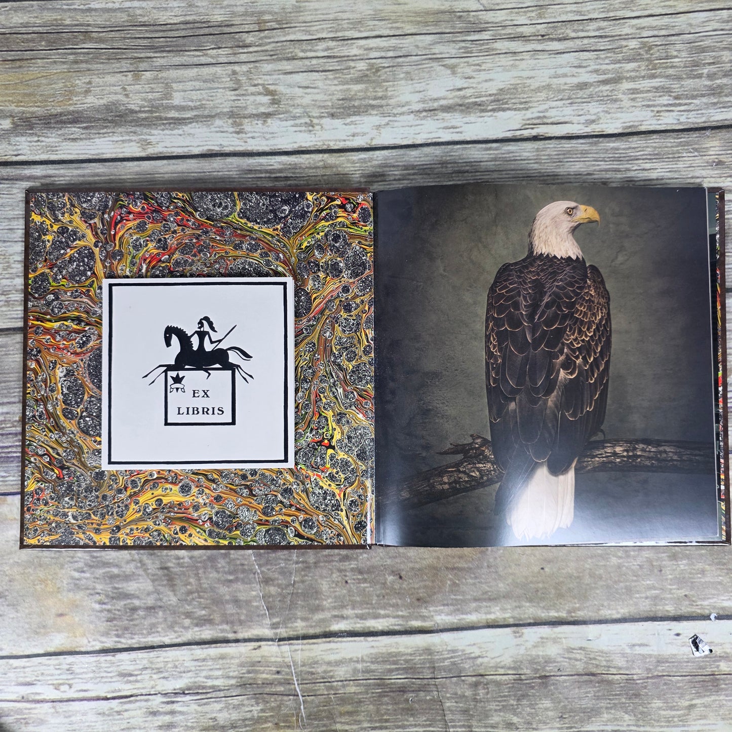 CLUTCh Special Edition 28 Page Art + Lyric Book