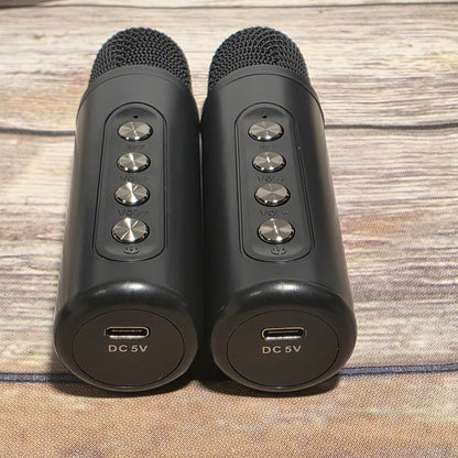 NIB New Courpal Karaoke Machine with 2 Microphones Bluetooth