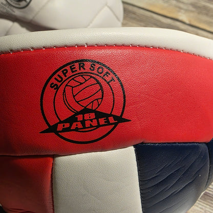 NIOB New Offical Franklin Soft Spike Volleyballs 6-Pack with 1 Hand Pump