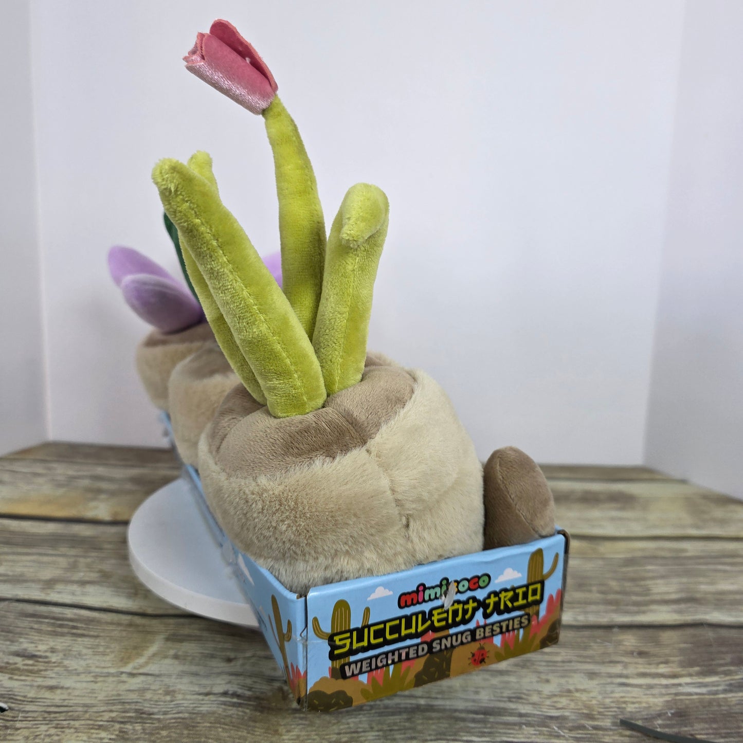 New Mimicoco Succulent Trio Weighted Snug Besties 2.2 lbs Each