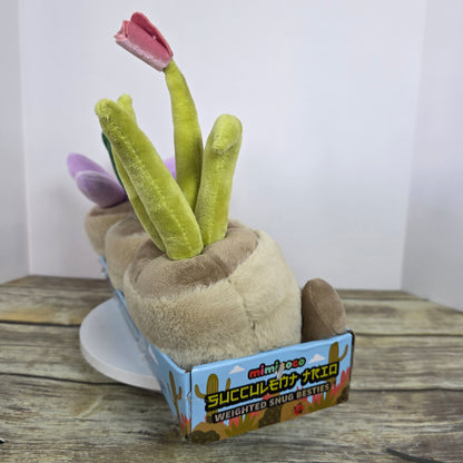 New Mimicoco Succulent Trio Weighted Snug Besties 2.2 lbs Each