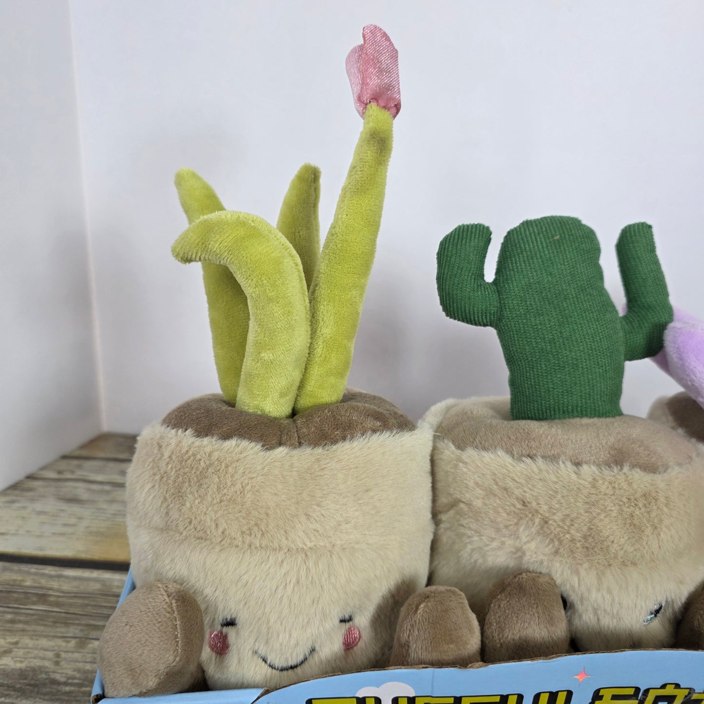 New Mimicoco Succulent Trio Weighted Snug Besties 2.2 lbs Each