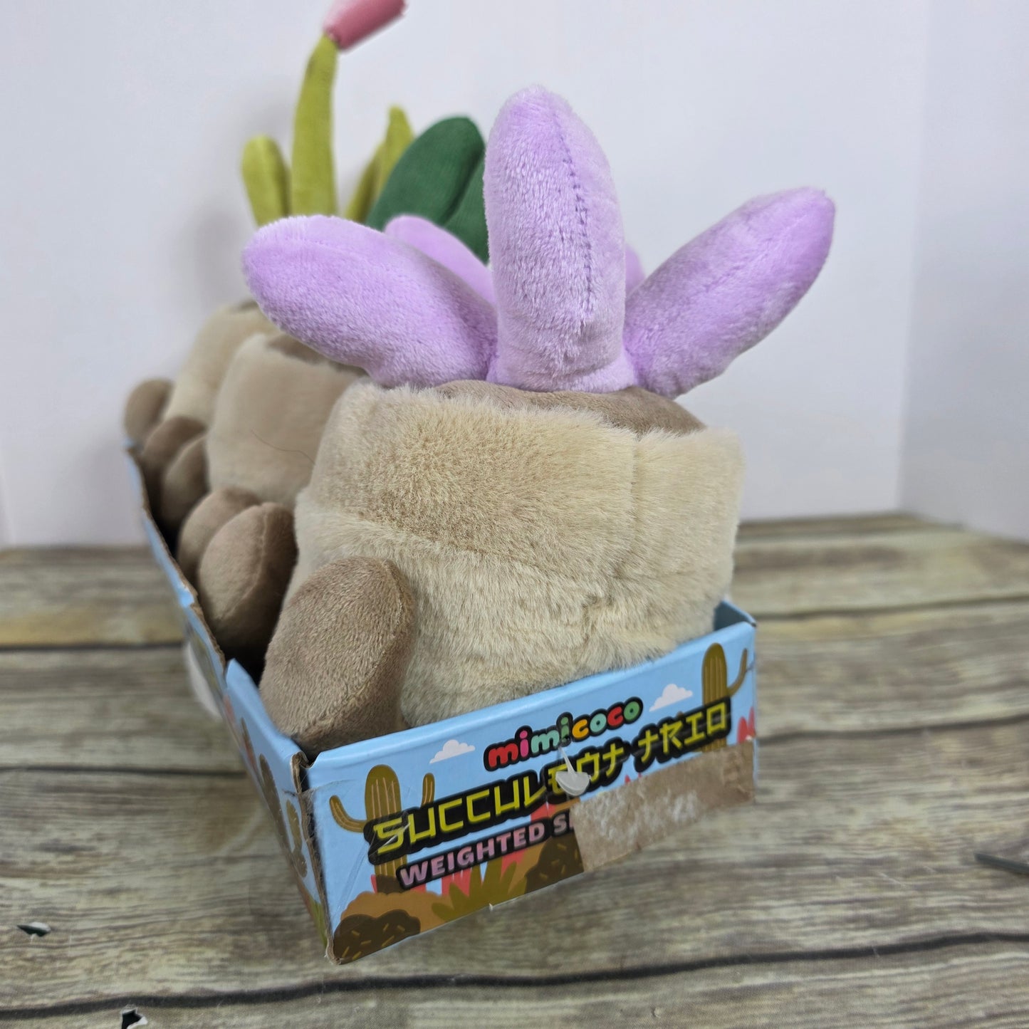 New Mimicoco Succulent Trio Weighted Snug Besties 2.2 lbs Each