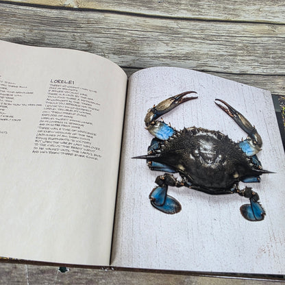 CLUTCh Special Edition 28 Page Art + Lyric Book