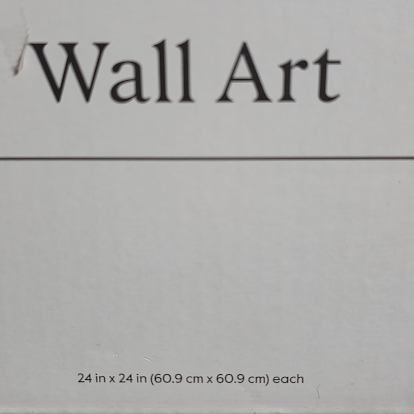 New Set of 2 THRESHOLD Colorful Abstract Color Block Wall Art 24"w x 24"h Canvases