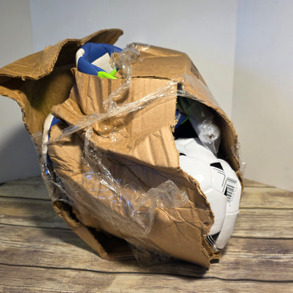 FRANKLIN Soccer Balls x 10 and pump x 2