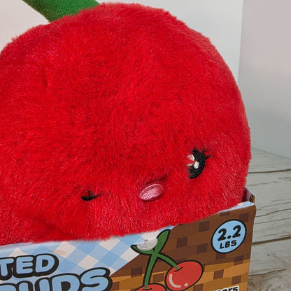 Weighted Snug Buds Cherries On Top Plush Toy 2.2 Lb Pink Sky Stress Relief Sleep Aid For Ages 3+ Soft & Calm Hug Buddy